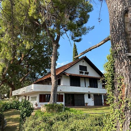 Wild Oaks Cottage Kriopigi Luaran gambar