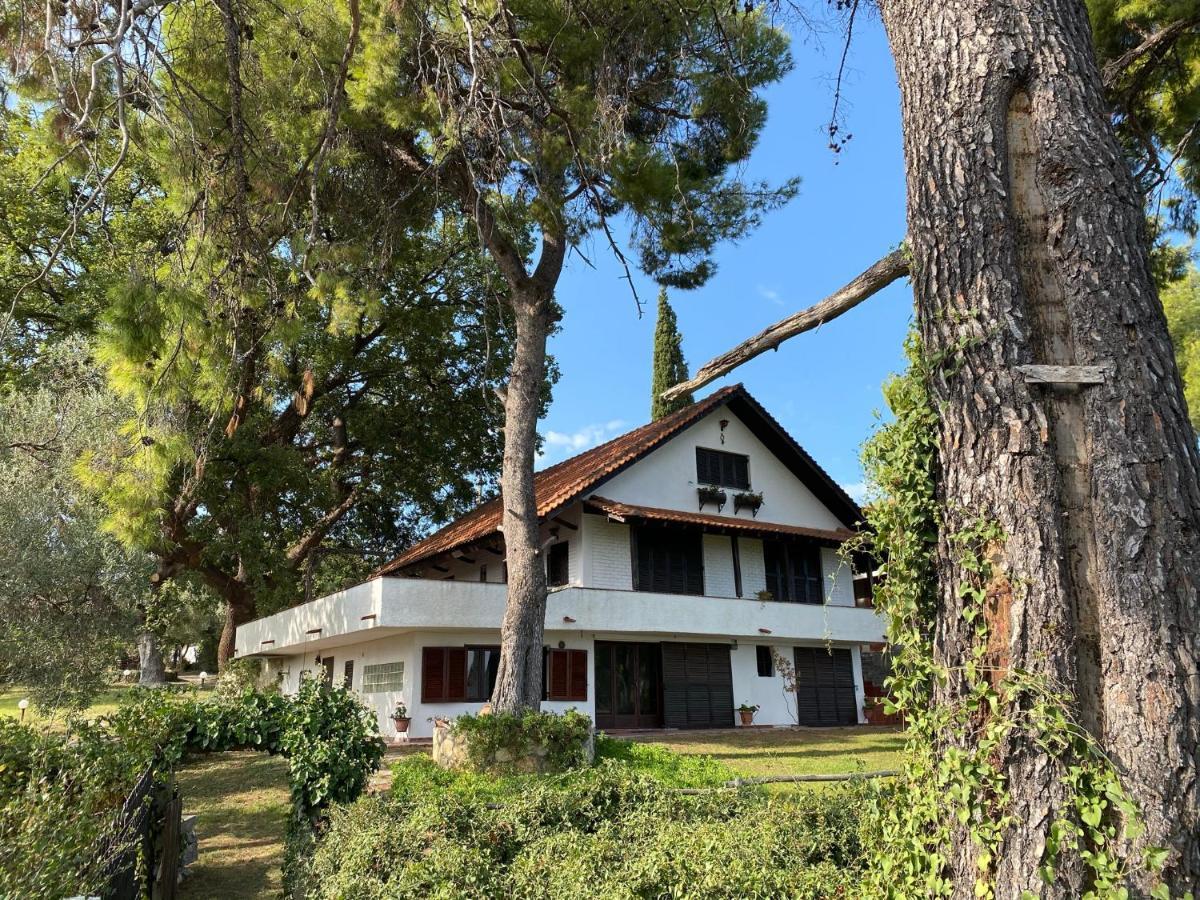 Wild Oaks Cottage Kriopigi Luaran gambar