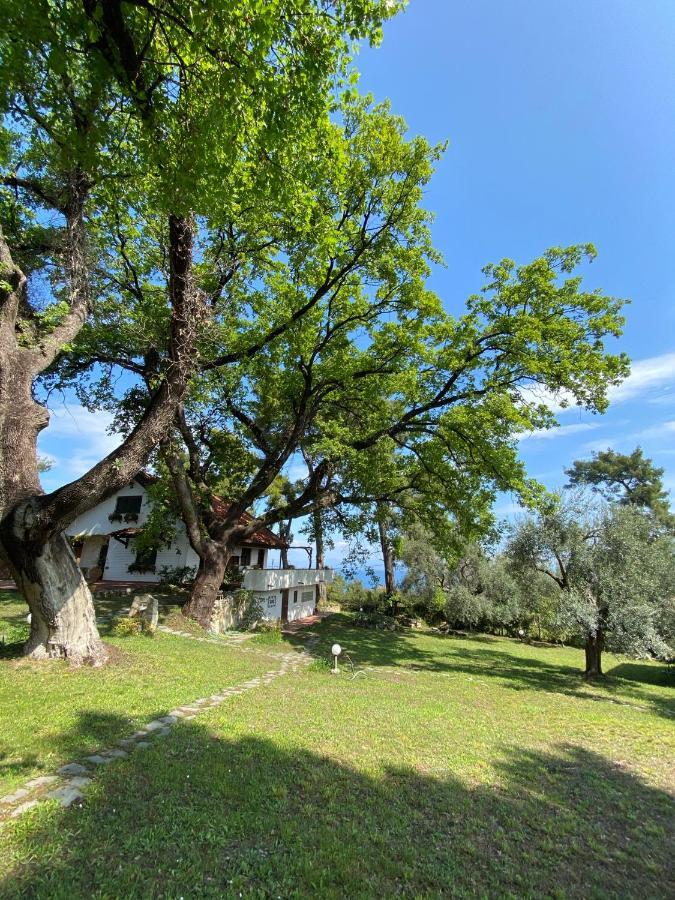 Wild Oaks Cottage Kriopigi Luaran gambar