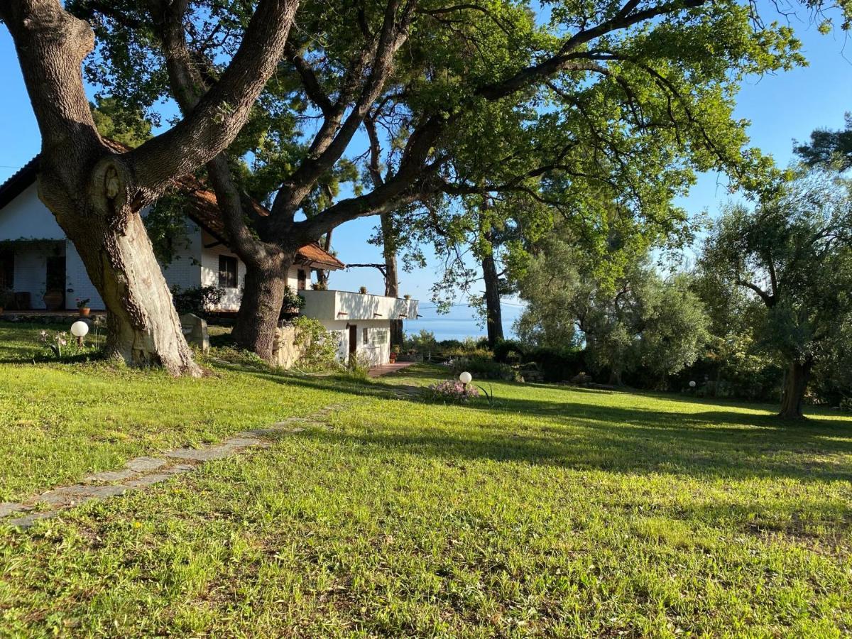 Wild Oaks Cottage Kriopigi Luaran gambar