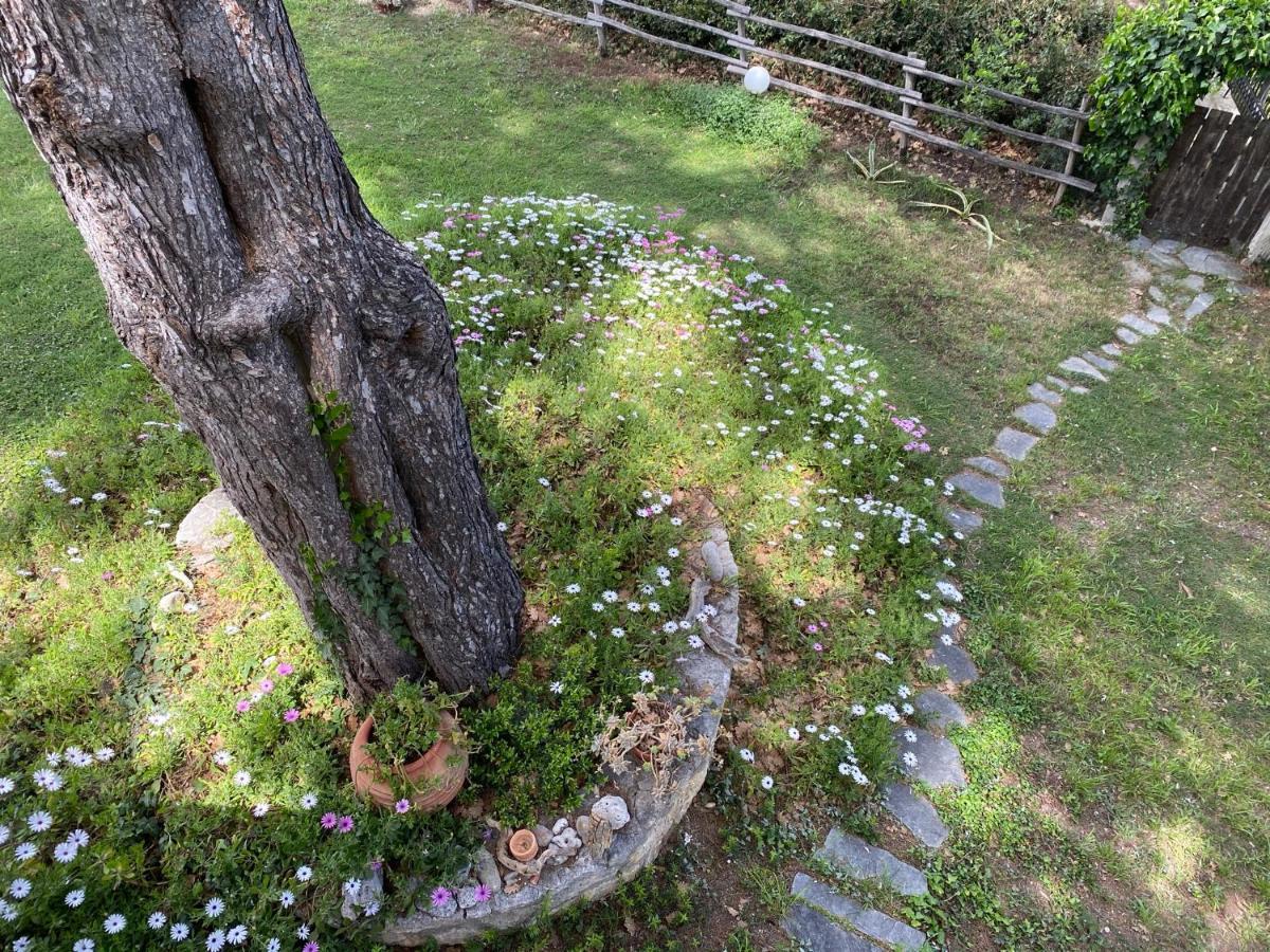 Wild Oaks Cottage Kriopigi Luaran gambar