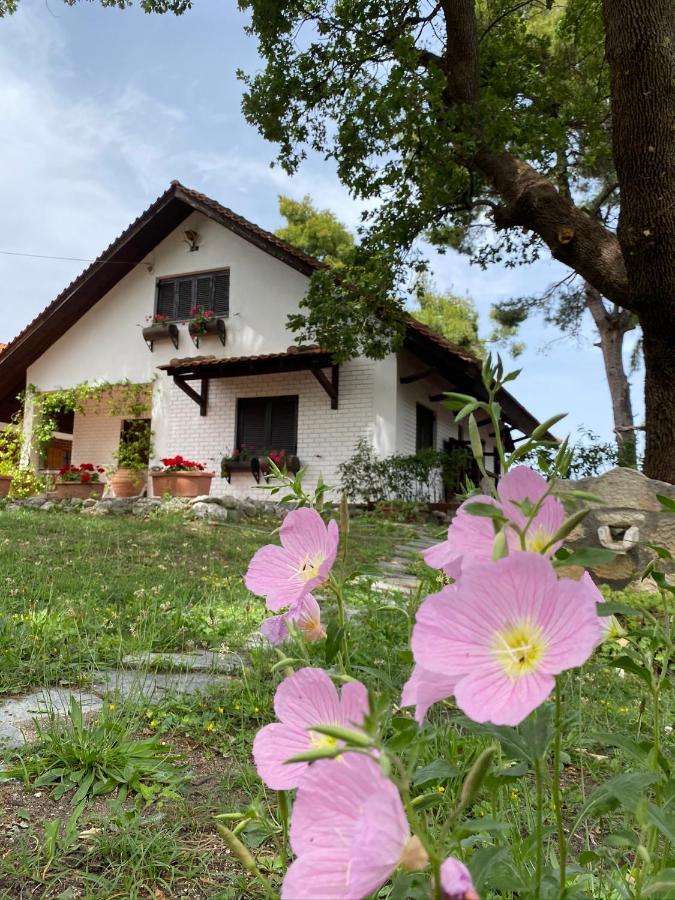 Wild Oaks Cottage Kriopigi Luaran gambar