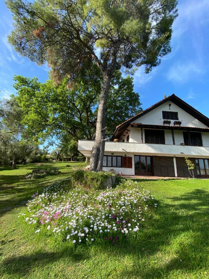 Wild Oaks Cottage Kriopigi Luaran gambar